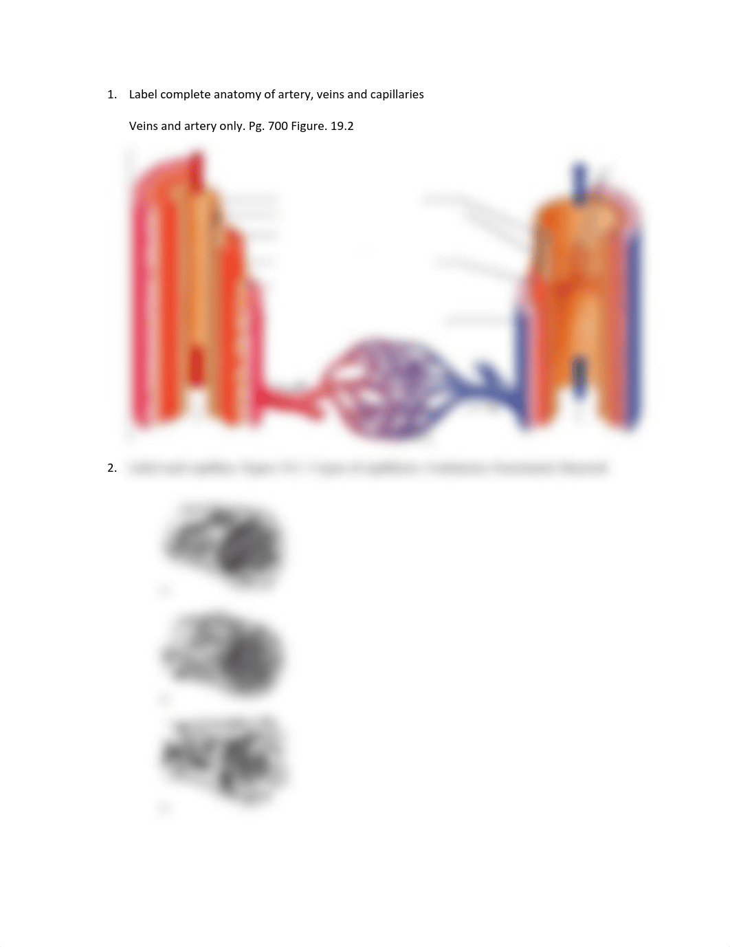 Bio 227 quiz 2 - page 1.pdf_d3uh4kaib8u_page1