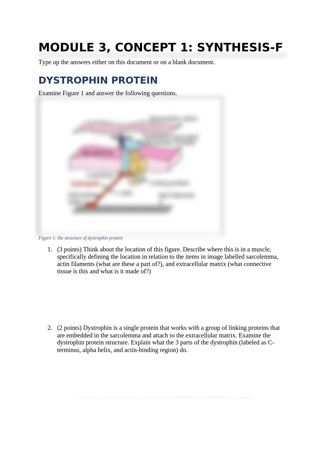 M3C1synthesis-.docx_d3uhc35ta8q_page1