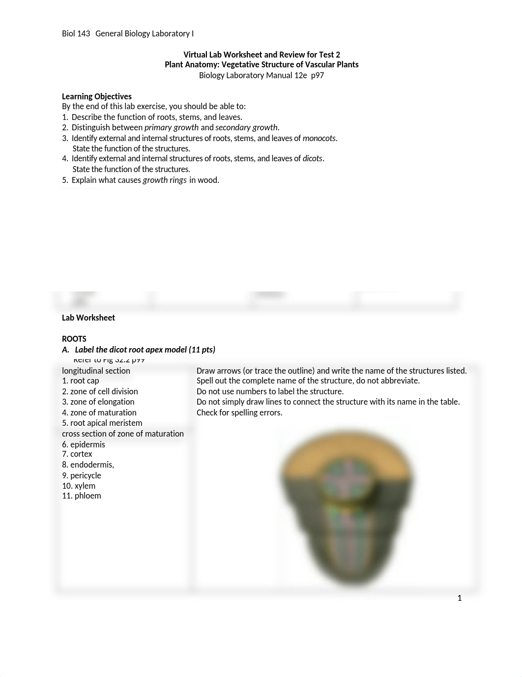 Plant Anatomy Virtual Lab Worksheet and Review for Test 2 211216.docx_d3uhojo2o41_page1