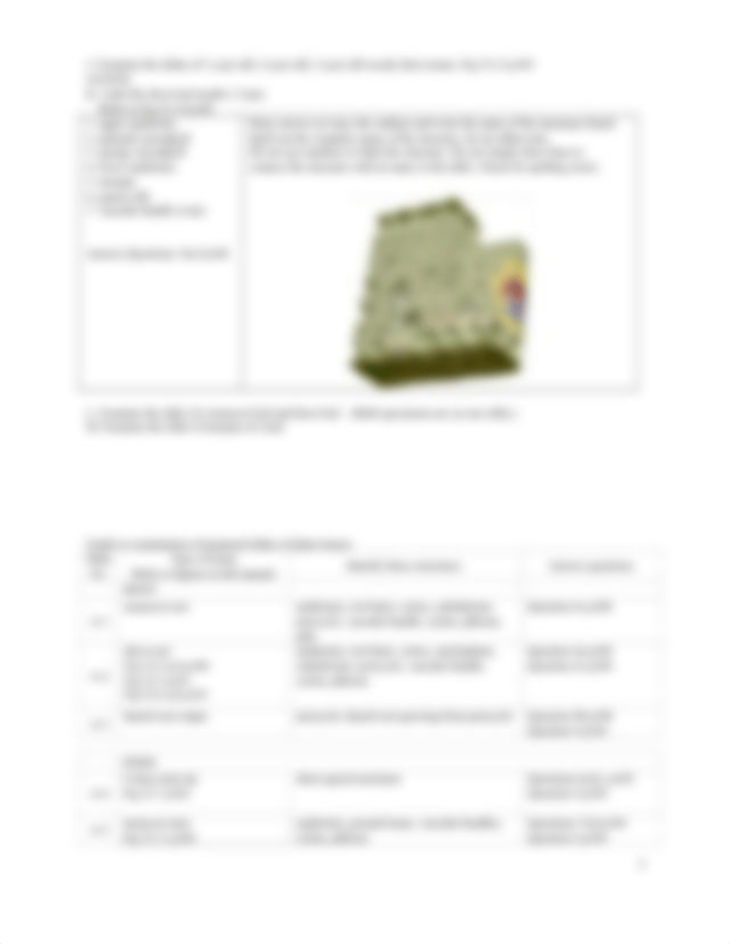 Plant Anatomy Virtual Lab Worksheet and Review for Test 2 211216.docx_d3uhojo2o41_page3