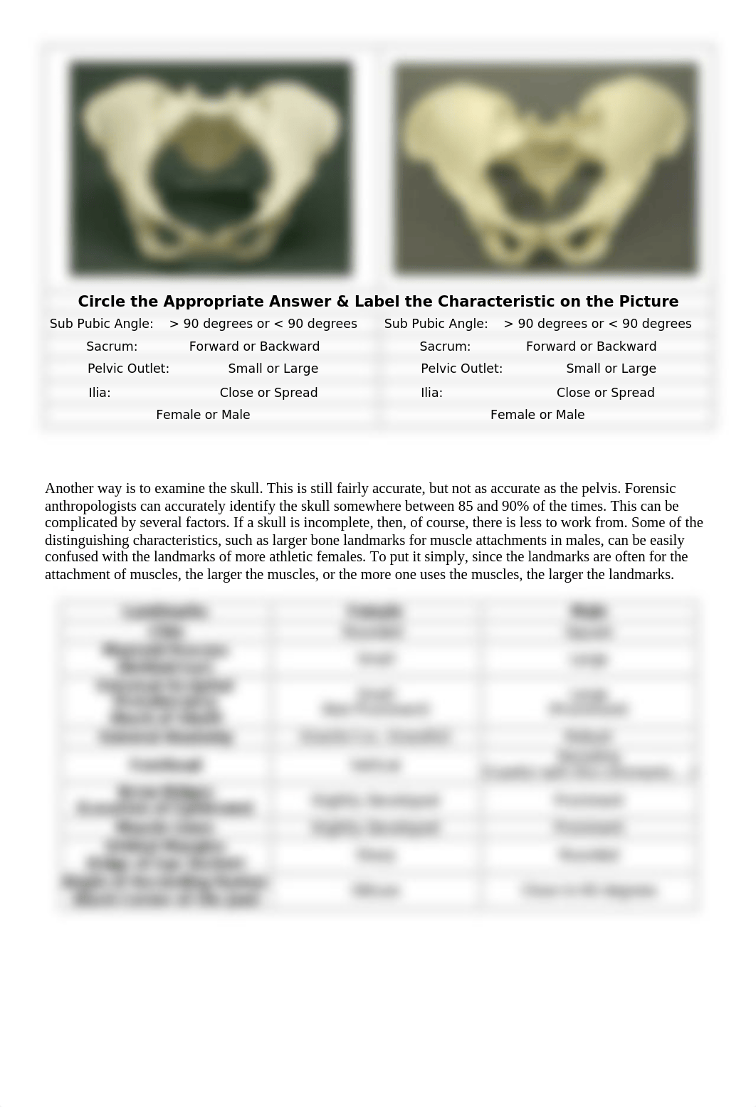 analysis_of_skeletal_remains_revised_2016.doc_d3ukgpmhgfg_page2