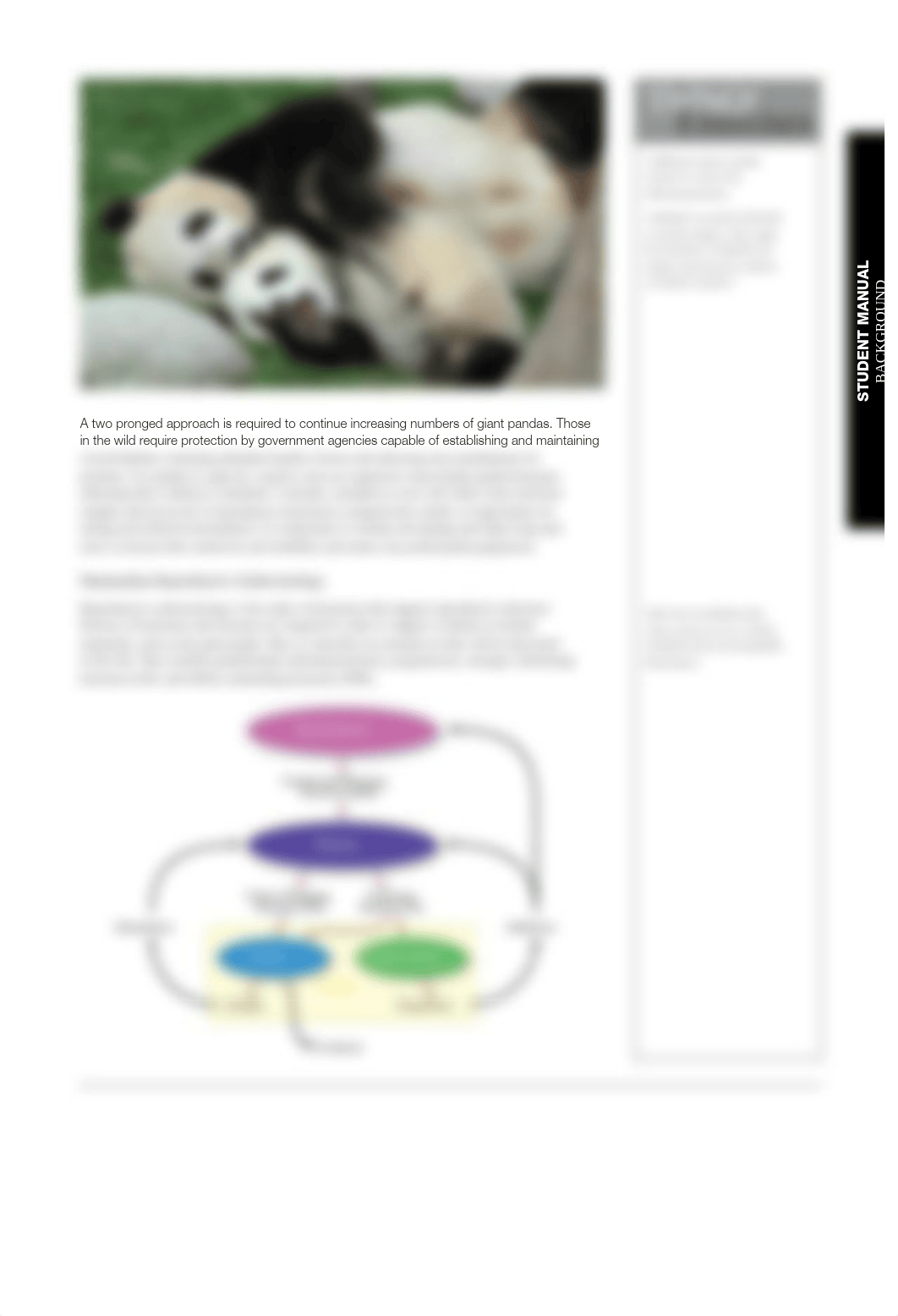 Panda Lab.pdf_d3ukpvvfgri_page2