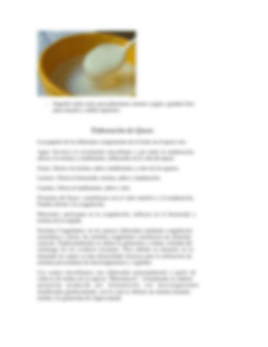 Elaboración de Queso y Yogurt.docx_d3urydjhed2_page4