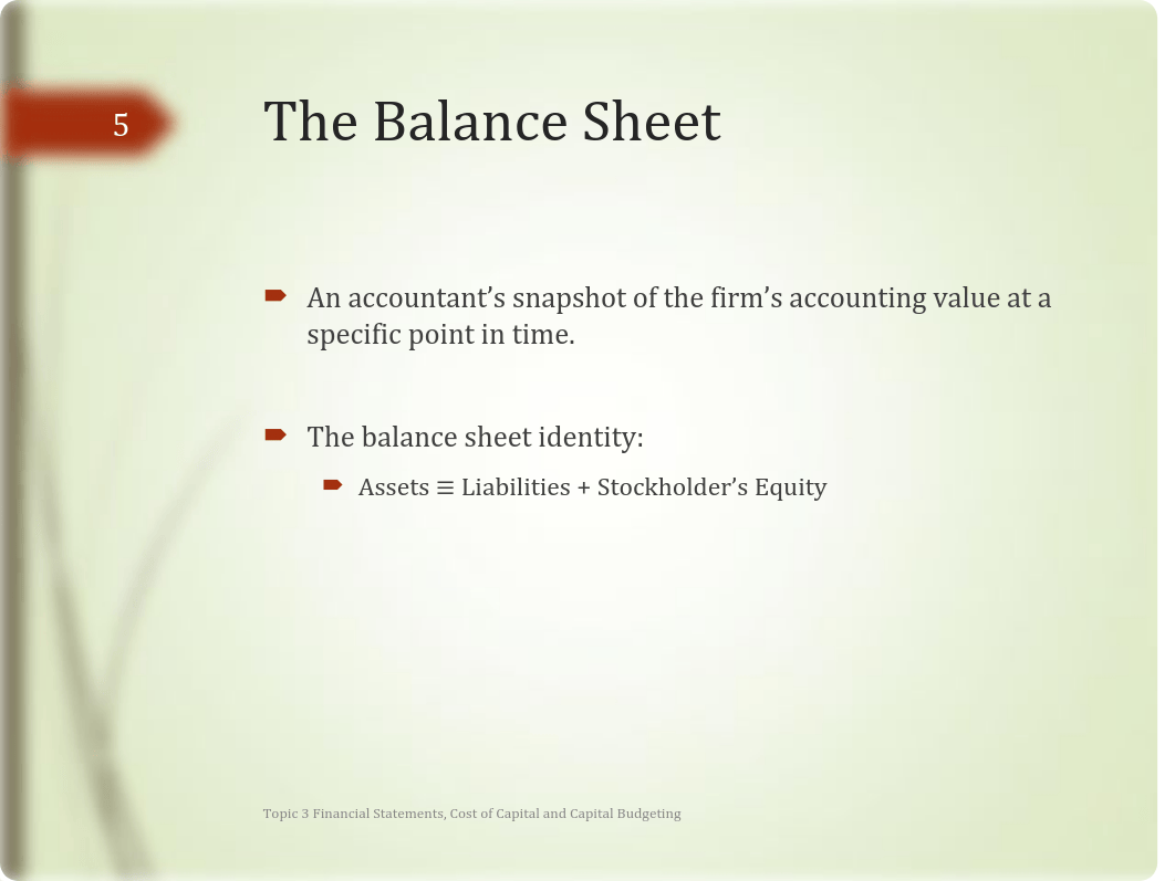 Topic 3 Financial Statements, Cost of Capital and Capital Budgeting.pdf_d3v0jfu4k3g_page5