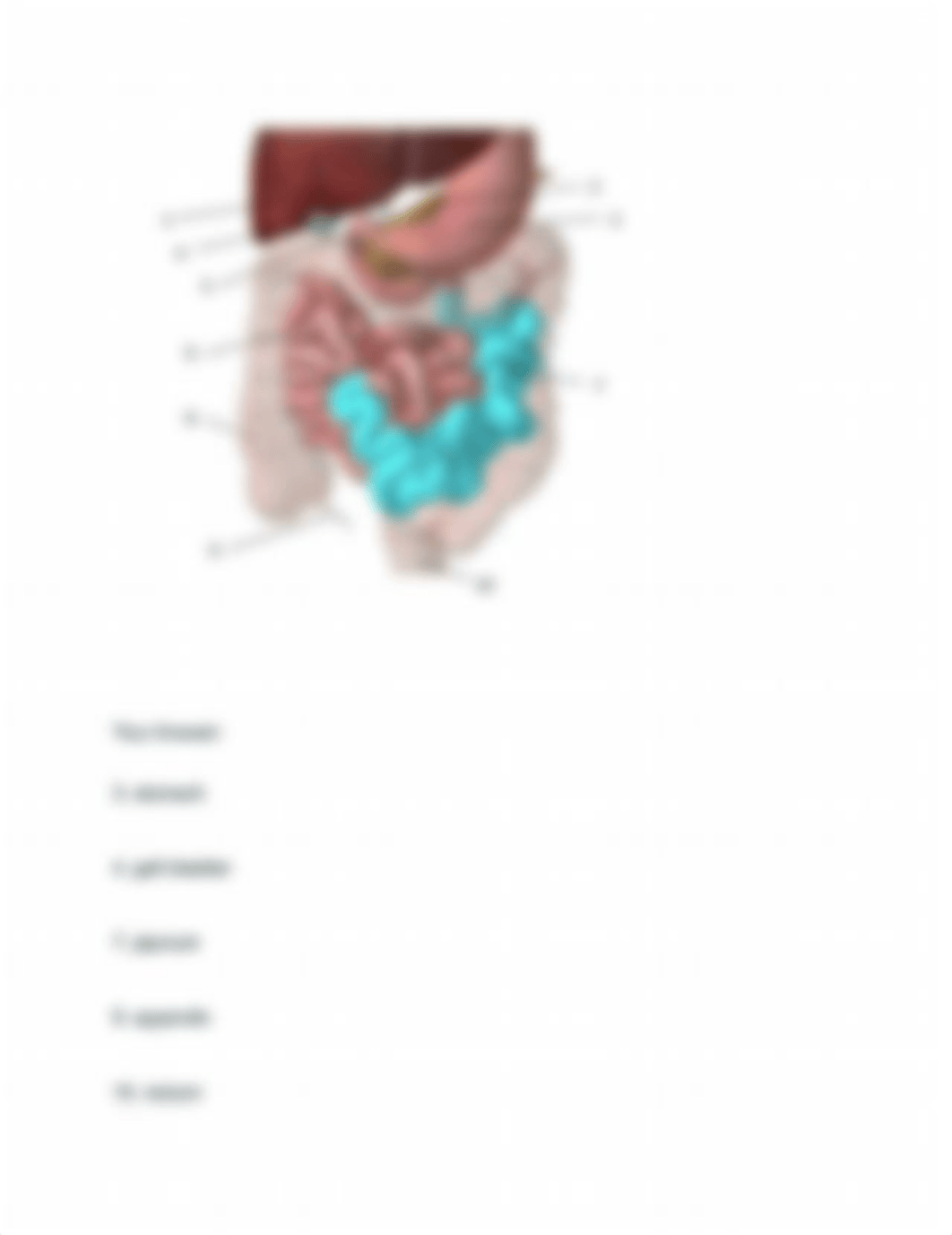 M3 Exam.pdf_d3v22r5oxlw_page5