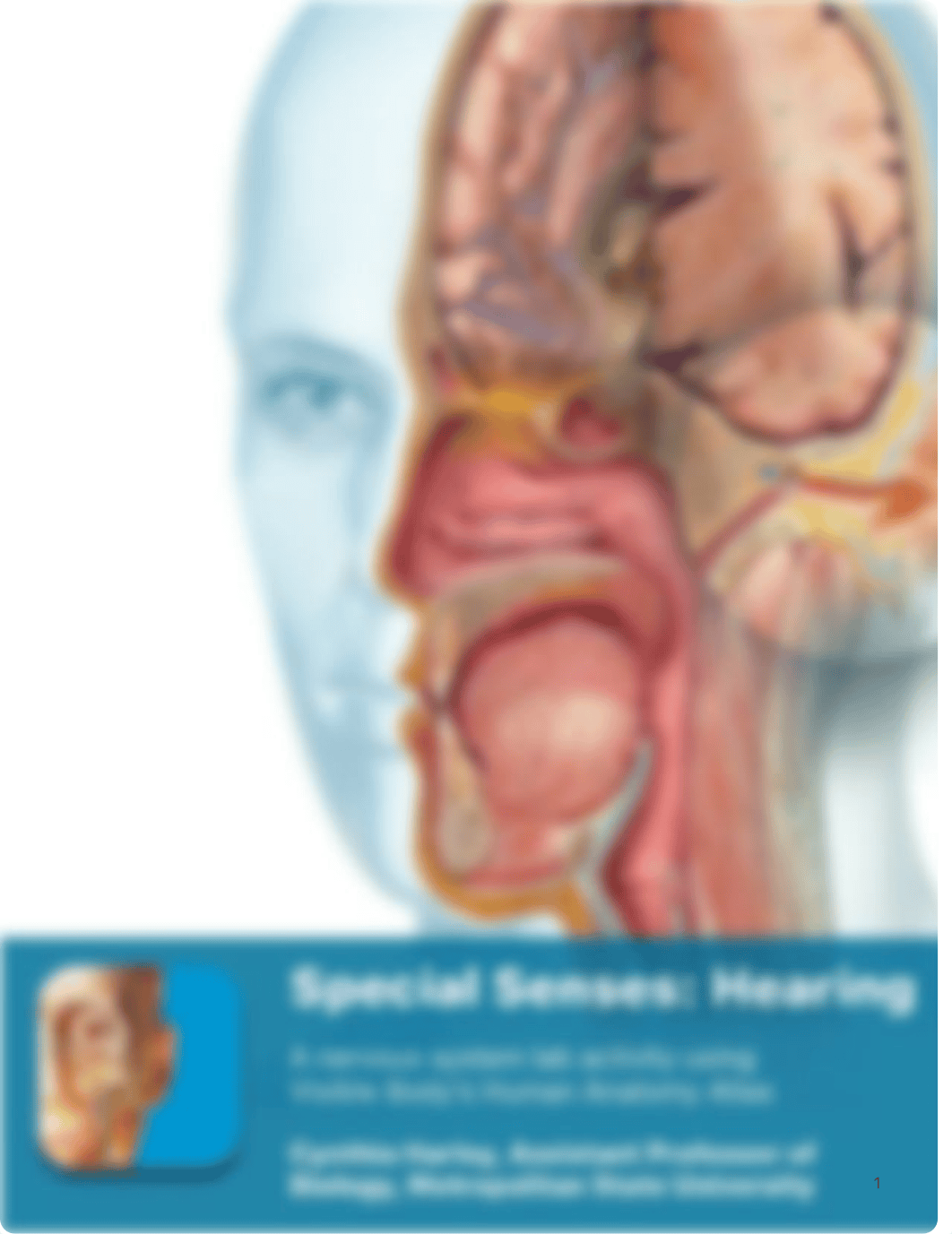 lab manual_senses ear_atlas.pdf_d3v3qvngp86_page1