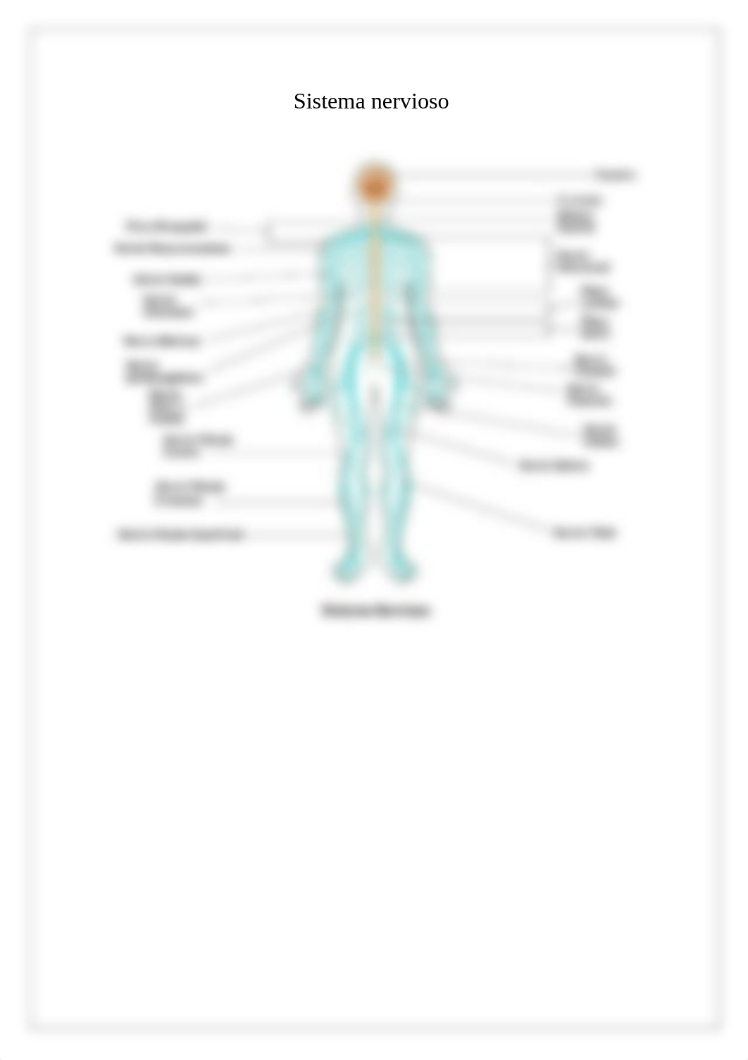 Tarea Individual del contenido de la Unidad 2.pdf_d3v6szo3j9m_page2