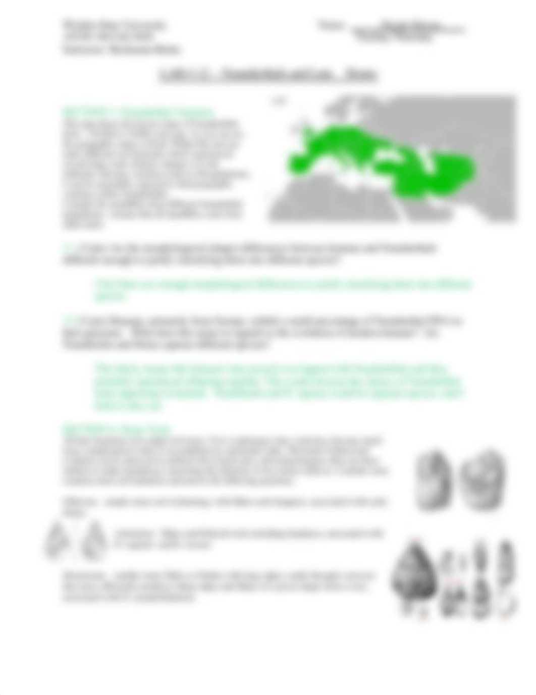 LAB 12 - Neanderthals and Late Homo.pdf_d3vaskak06x_page2