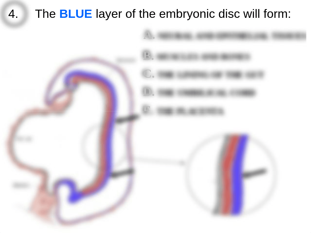 exam 1 2005.ppt_d3vfsd28ybj_page5