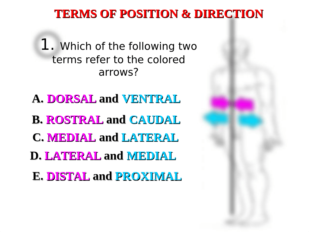 exam 1 2005.ppt_d3vfsd28ybj_page1