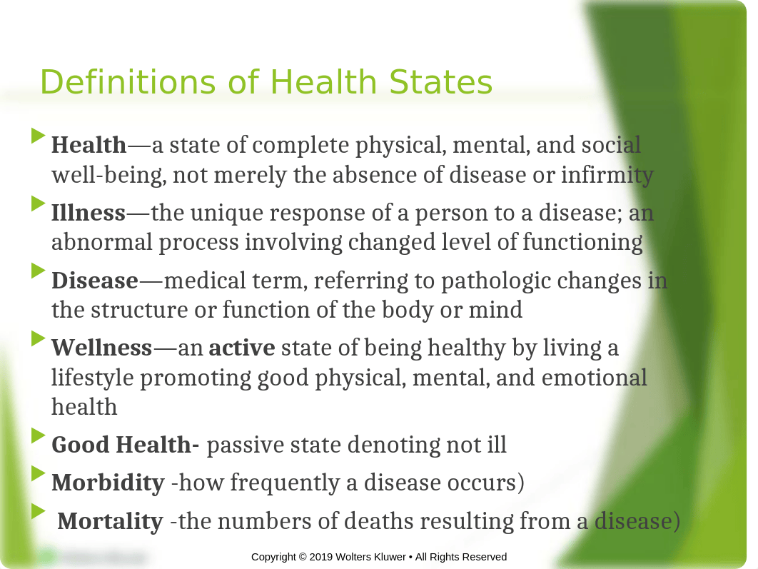 Health Wellness & Health Disparities .pptx_d3vg27hnudw_page4