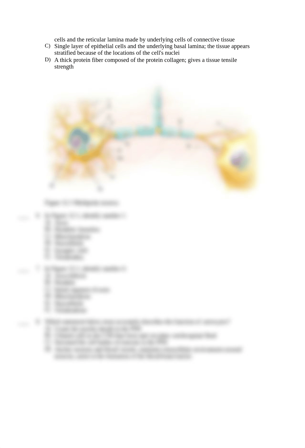 Question guide BIOL 252 Mid-term 2022-2.pdf_d3vmjic9yne_page2