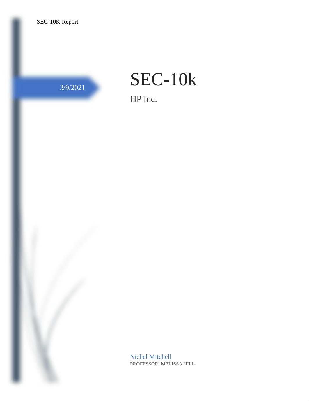 SEC-10 k report .docx_d3vq048uknu_page1