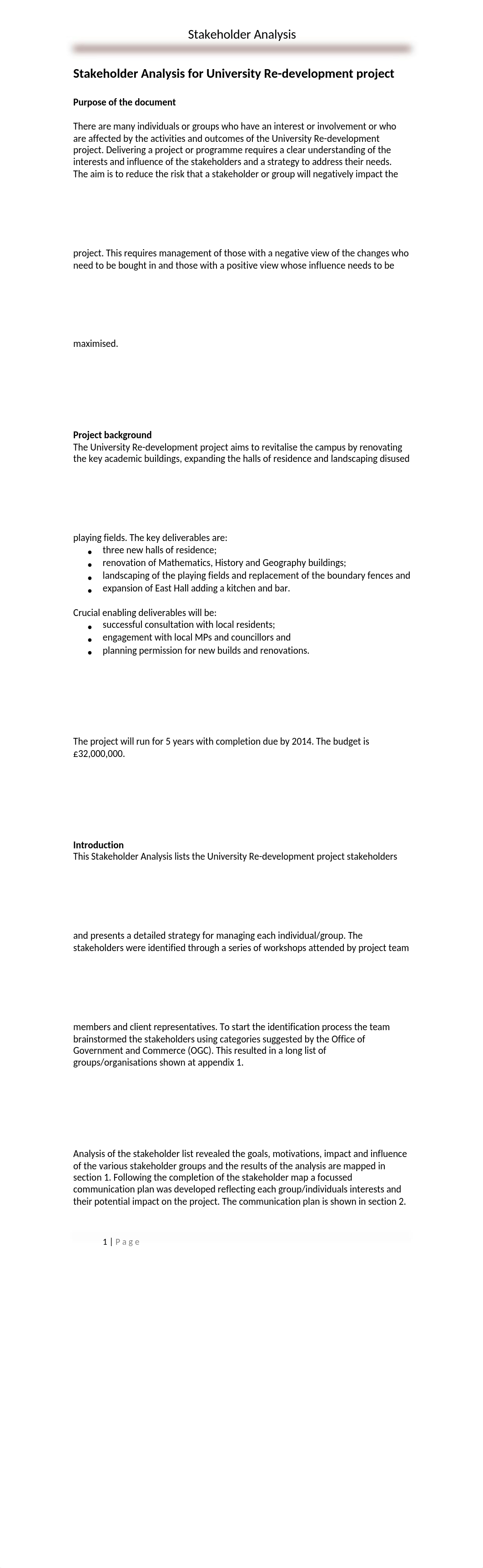 Stakeholder Analysis Report_d3vq0pfdbxt_page1