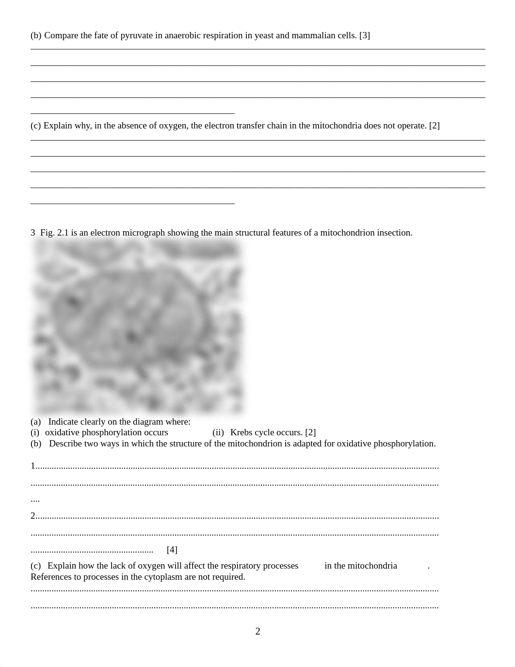 43560199-A2-Test-Respiration-and-Photosynthesis-January.doc_d3vrkussg7e_page2