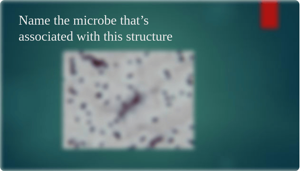 Microbiology Practical_d3vtxf70efv_page3