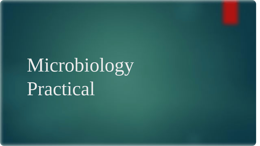 Microbiology Practical_d3vtxf70efv_page1