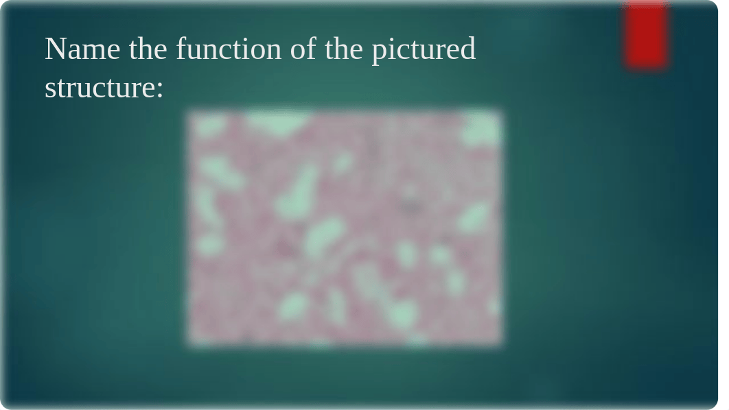 Microbiology Practical_d3vtxf70efv_page5