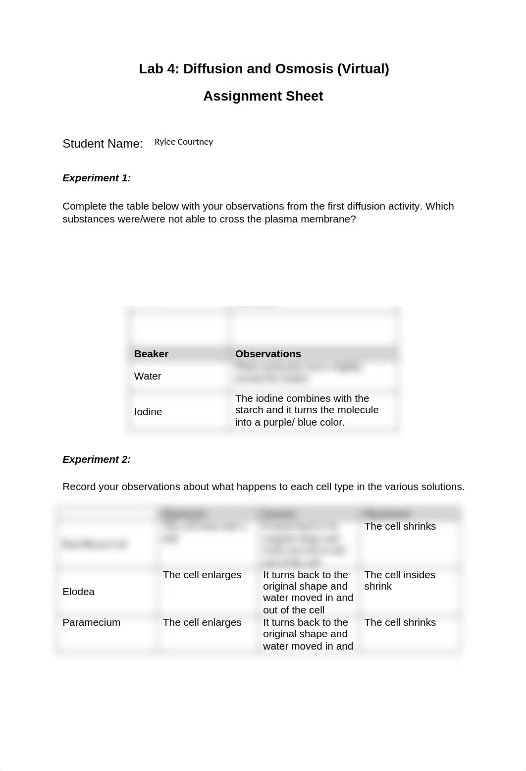 BIO 105 Lab 4 Assignment Sheet1.docx_d3vur4ypbf5_page1