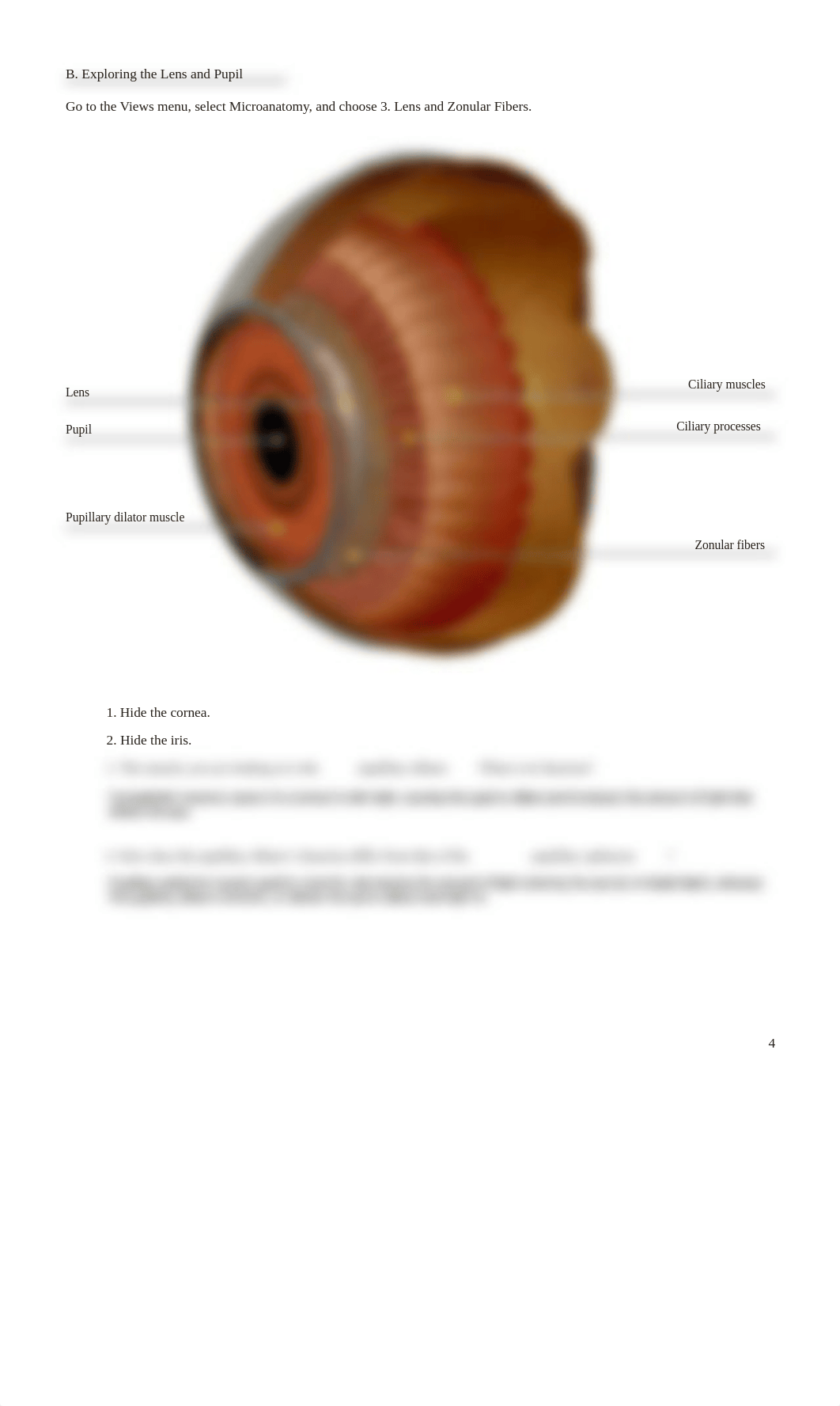 RB lab manual_senses eye_atlas.pdf_d3w1z8c78ys_page4