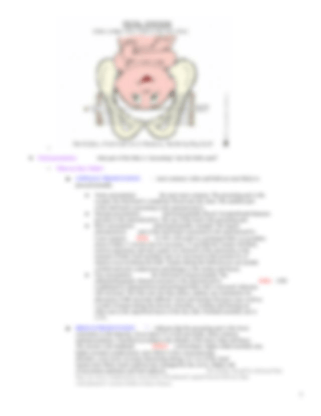 Childbearing Family Exam #2-Study Guide.docx_d3w9rxcnvho_page3