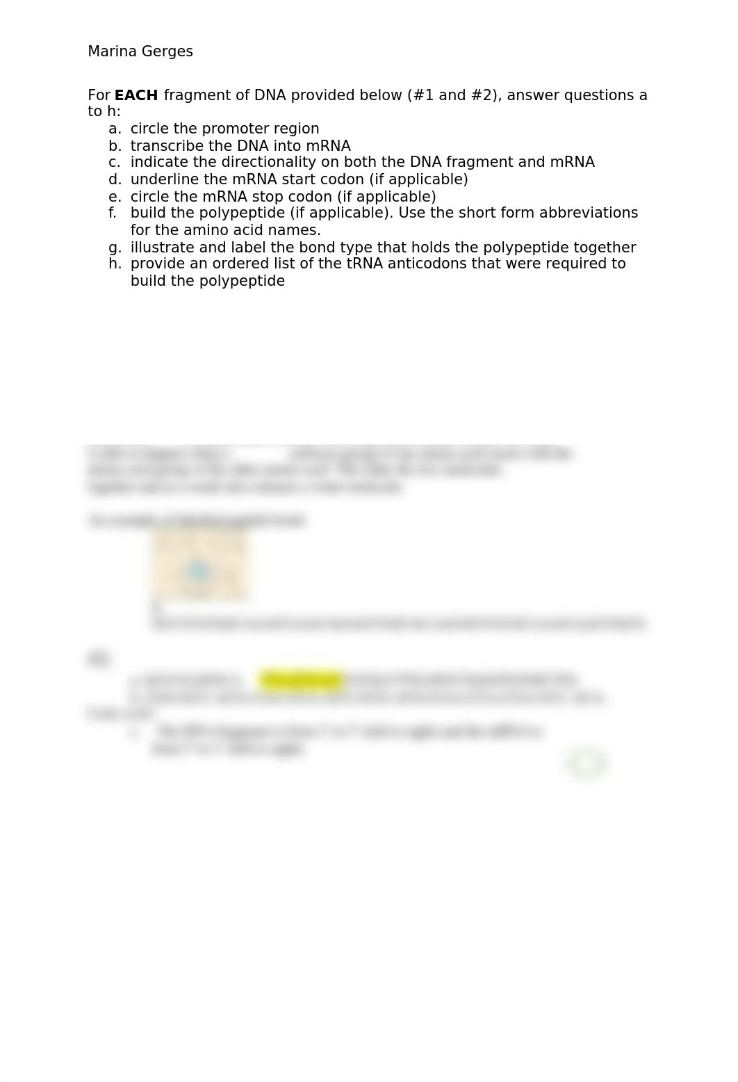 UNIT 3 Protein Synthesis.docx_d3wayxe4r7o_page1