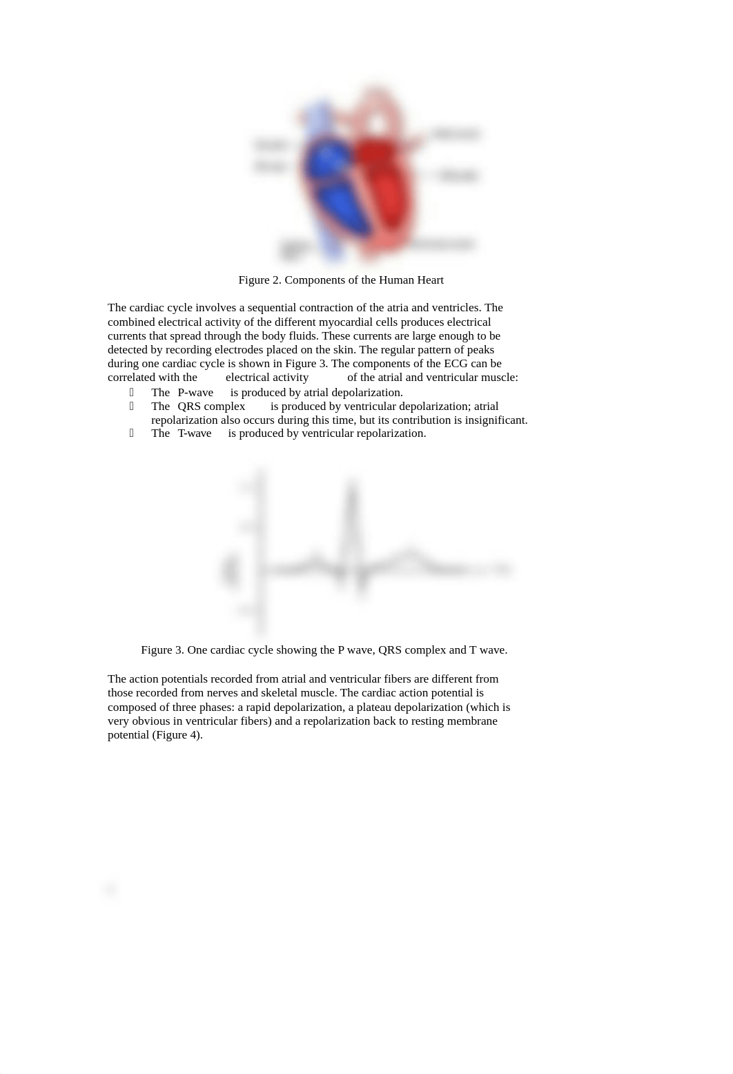 lab #6 -CV - ECG & Heart Sounds.docx_d3wk1fwht09_page2