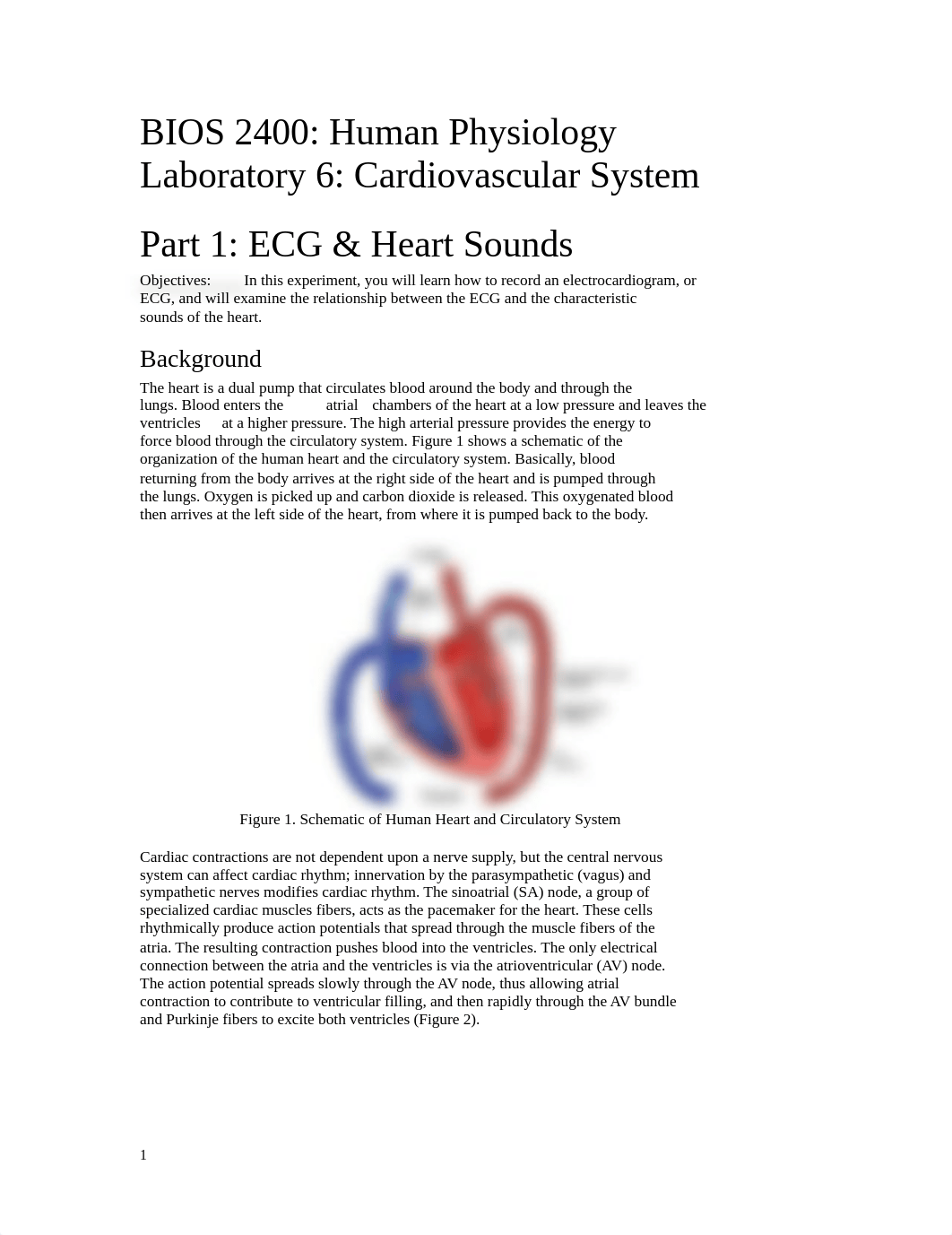 lab #6 -CV - ECG & Heart Sounds.docx_d3wk1fwht09_page1