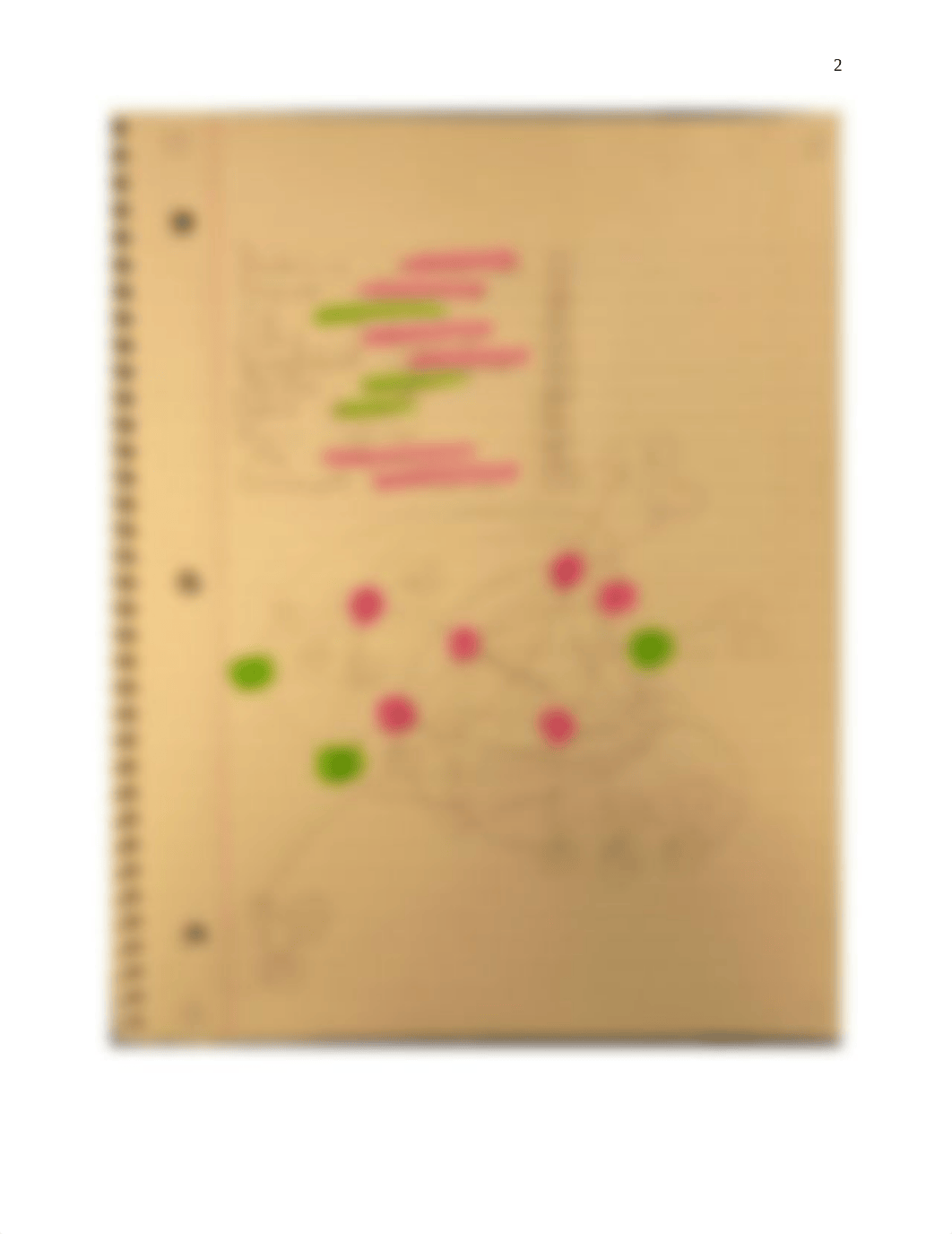 Week 2 Application- Mapping School Social Networks.docx_d3wmjzzjl7r_page2