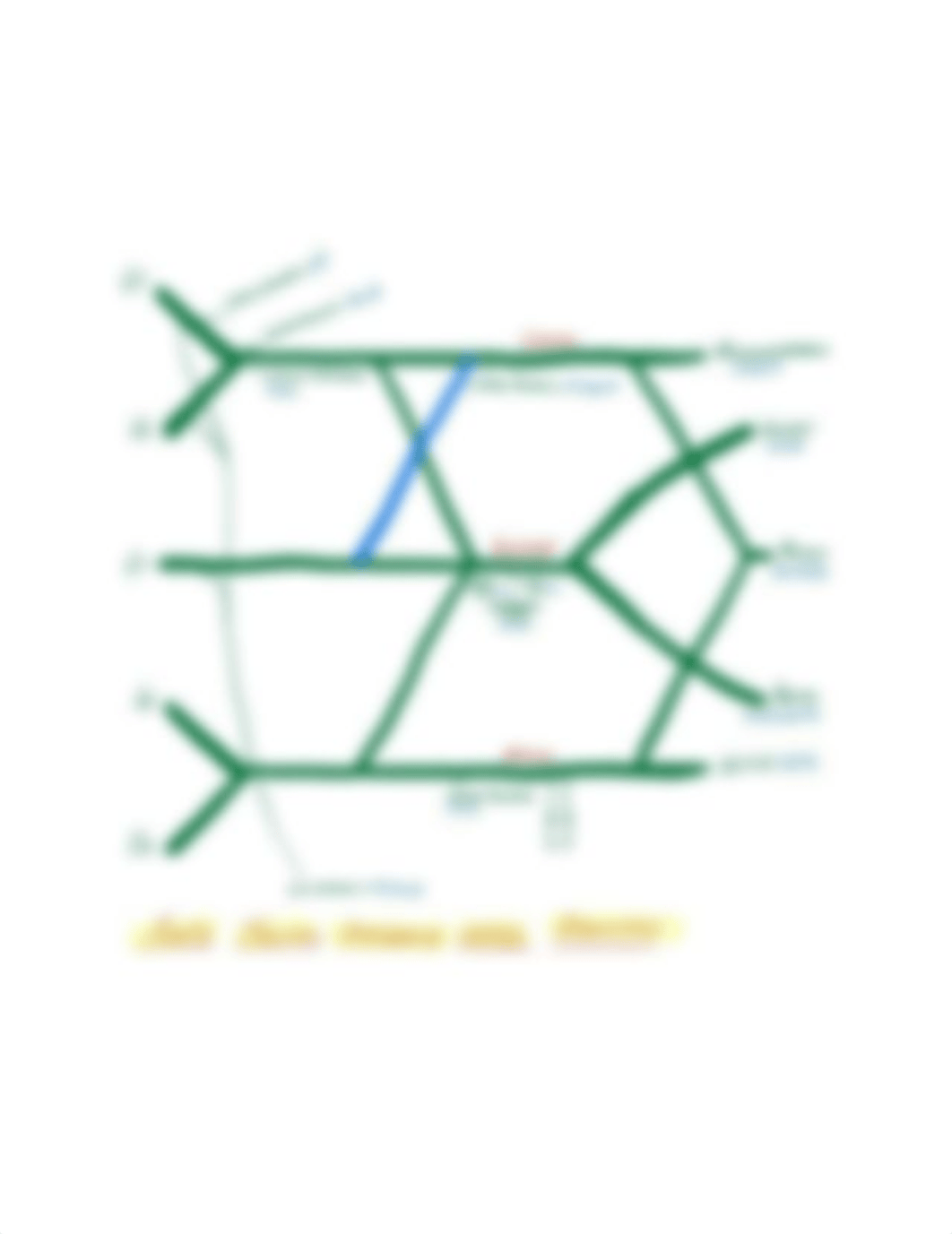 2. REEVES_BRACHIAL PLEXUS STUDYSHEET.pdf_d3wzrzrk979_page1