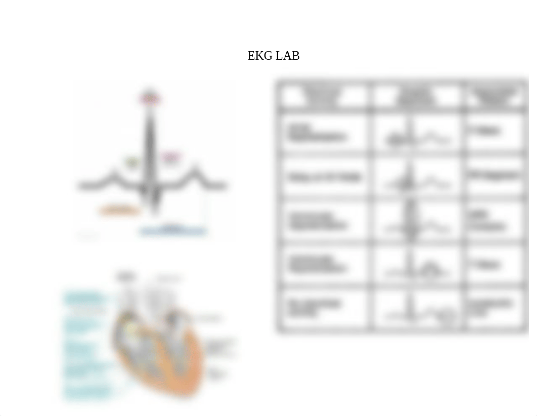 EKG Lab.docx_d3x1eda87sw_page1