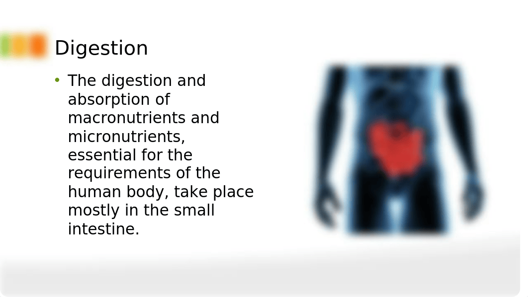 JThomas_Module 02 Written Assignment - Macronutrients and Their Impact_041018.pptx_d3x4oq4izgk_page4