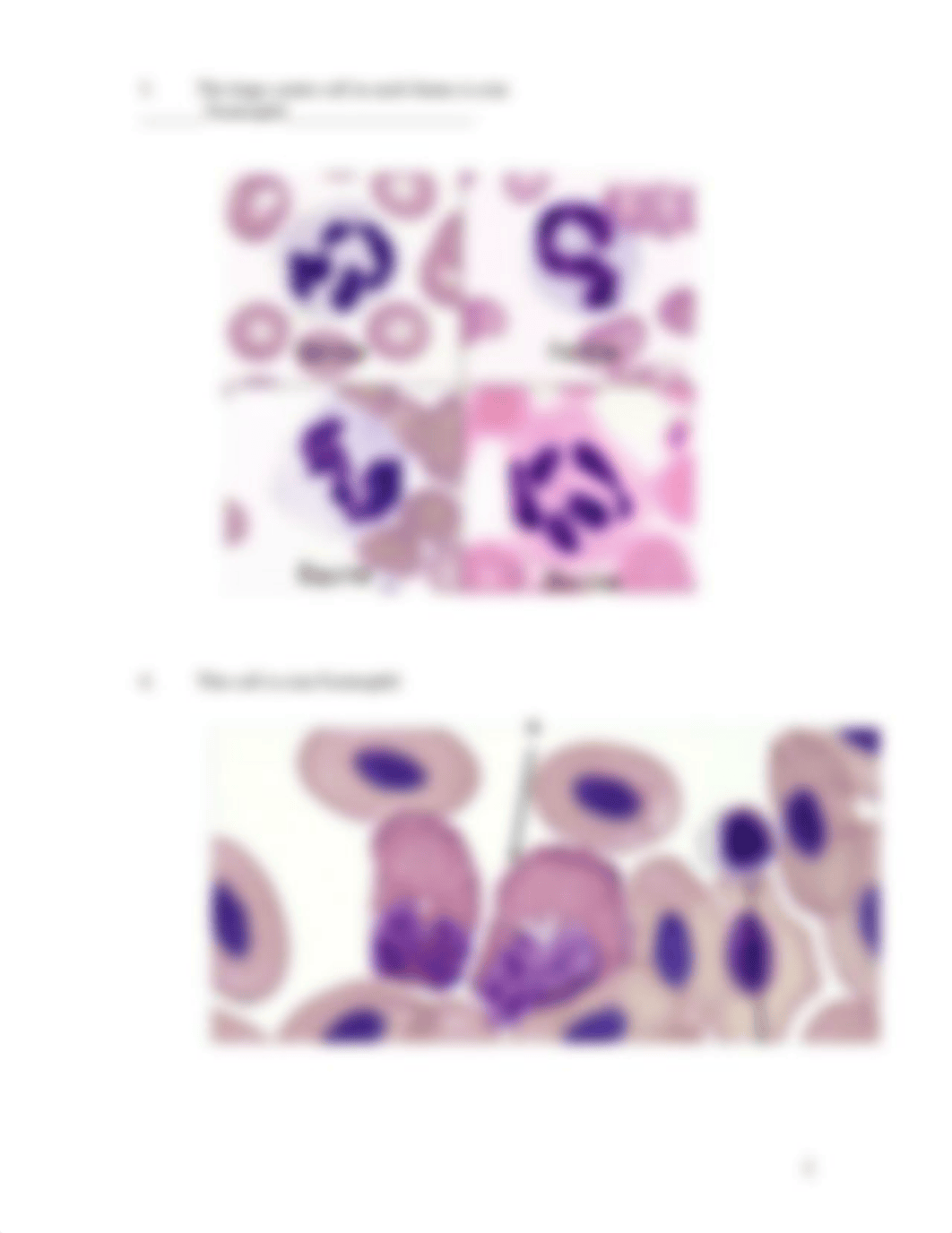 ASSIGNMENT 6.3  MISCELLANEOUS BLOOD (3).docx_d3xj0au74tp_page2