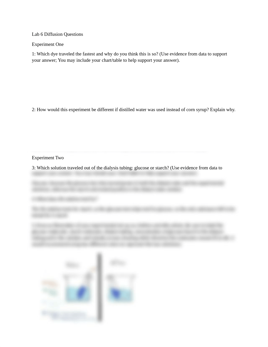 Lab 6 Diffusion Questions.docx_d3xj3kn9wxg_page1