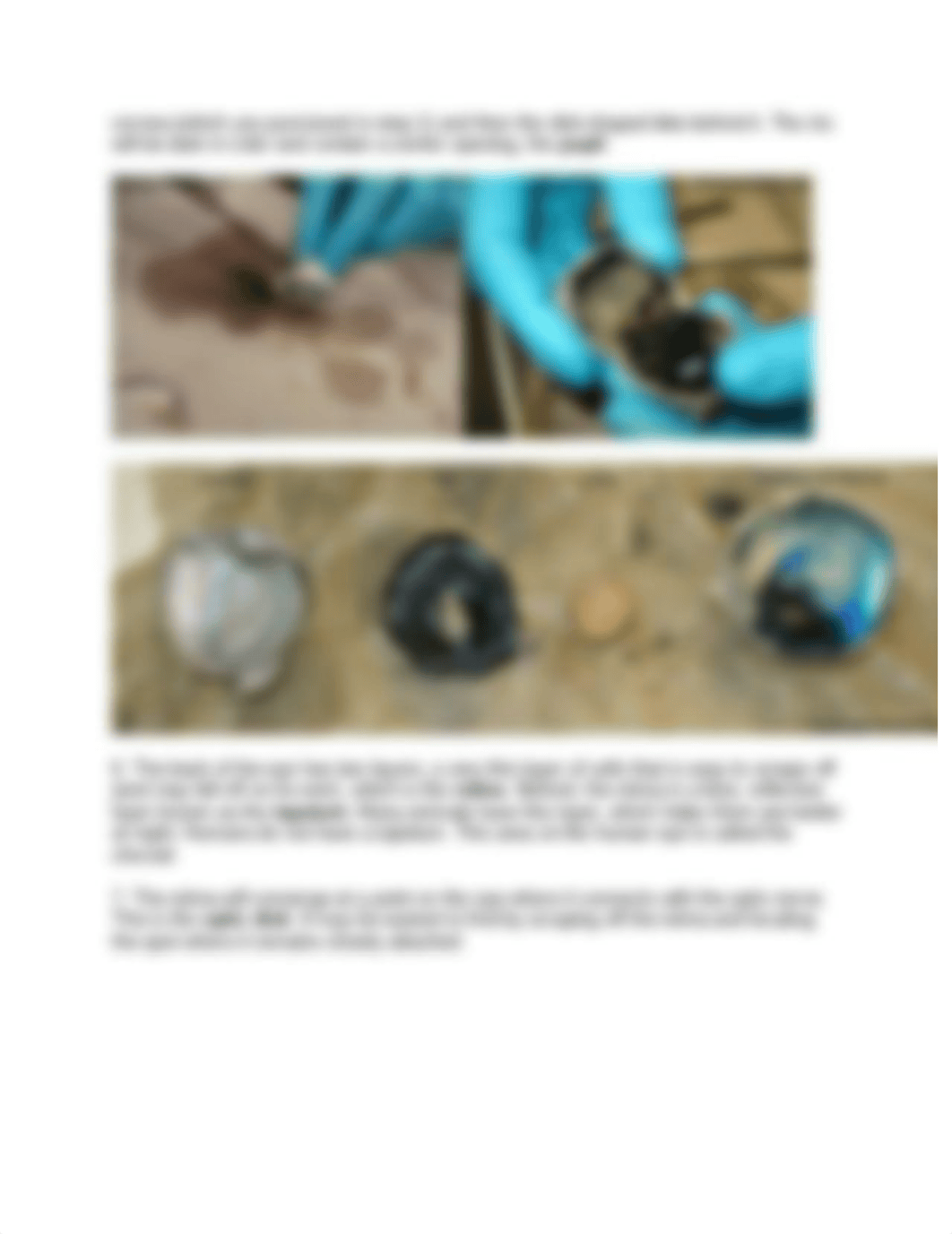 Jennae Watson - COW EYE DISSECTION GUIDE.docx.pdf_d3xl6gavfz4_page2