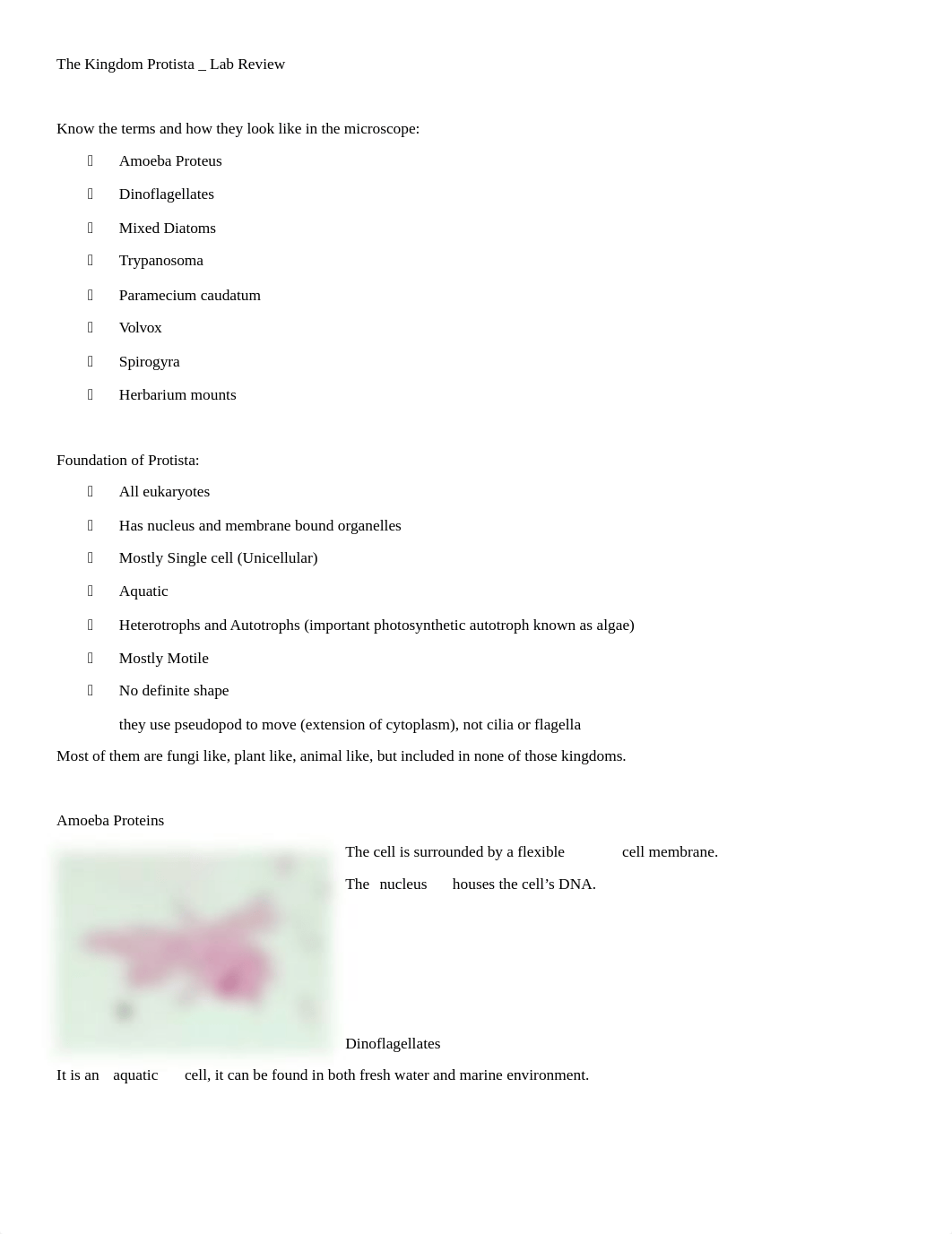 Lab Review - Prostista.docx_d3xlxb2fbh5_page1