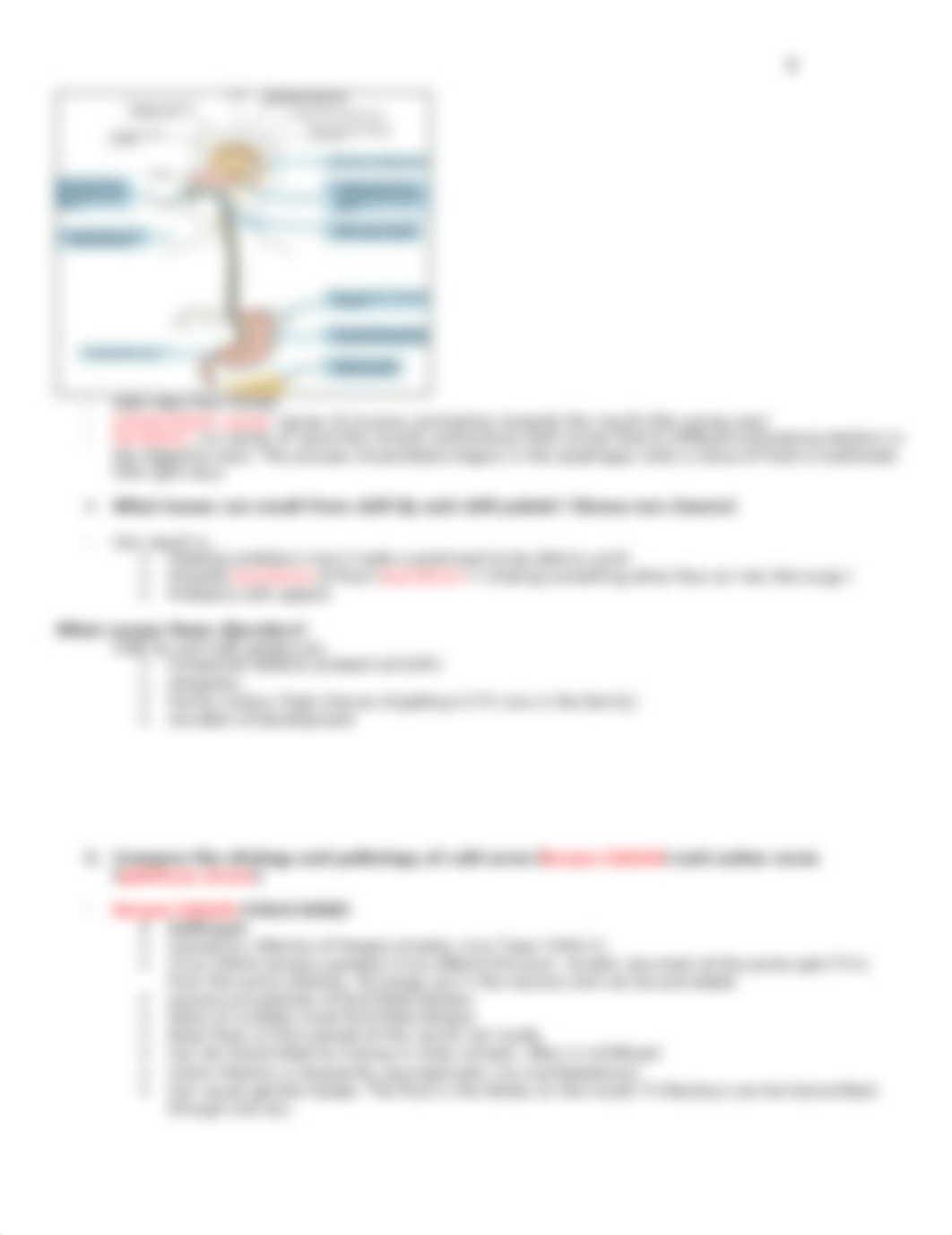 Exam 4 study guide Progress_d3xogigl6p6_page3