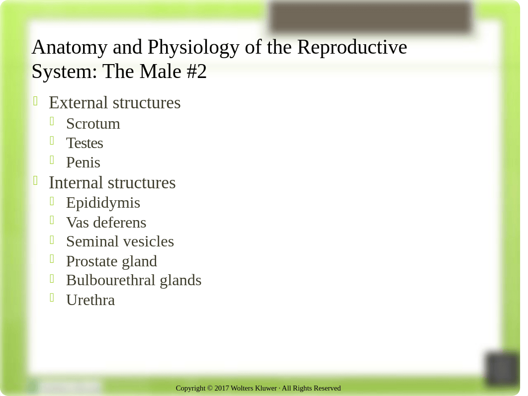 OB PPt Chapter 5 Nursing Role in Reproductive and Sexual Health.pptx_d3xql6i8314_page5