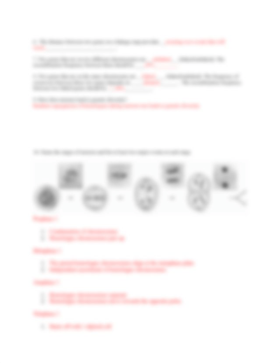 Worksheet BIO304 M3 Meiosis.docx_d3xsz1uo6b4_page2