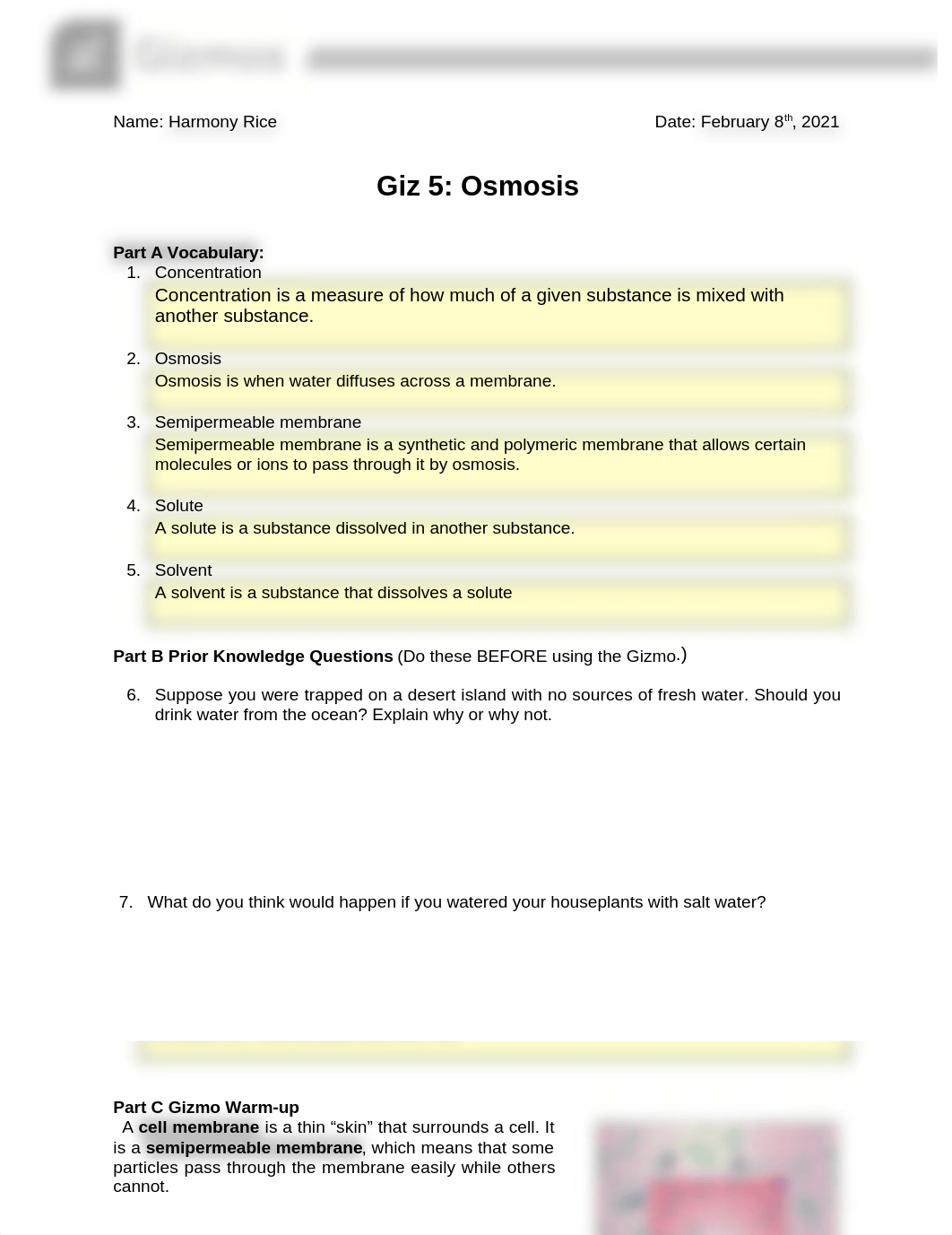 Gizmos Osmosis.docx_d3xvn9m8j2t_page1