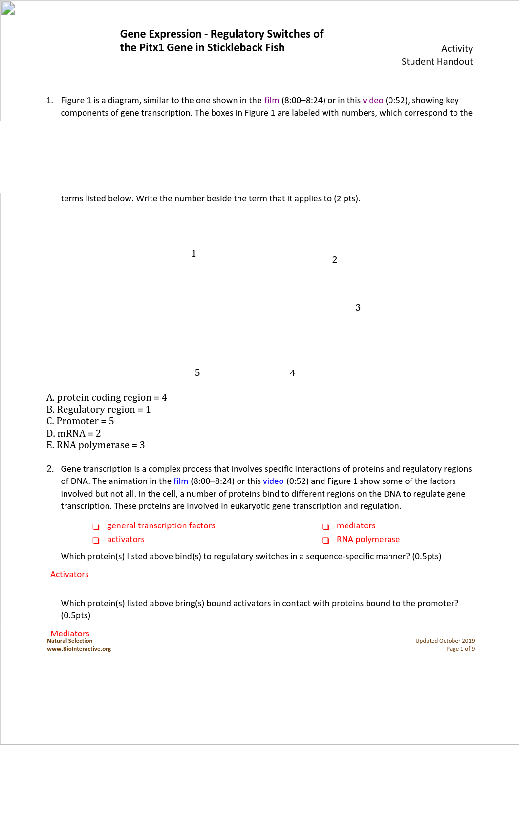 Lab 6 - Gene Expression worksheet AI.pdf_d3ycvzcw5rq_page1