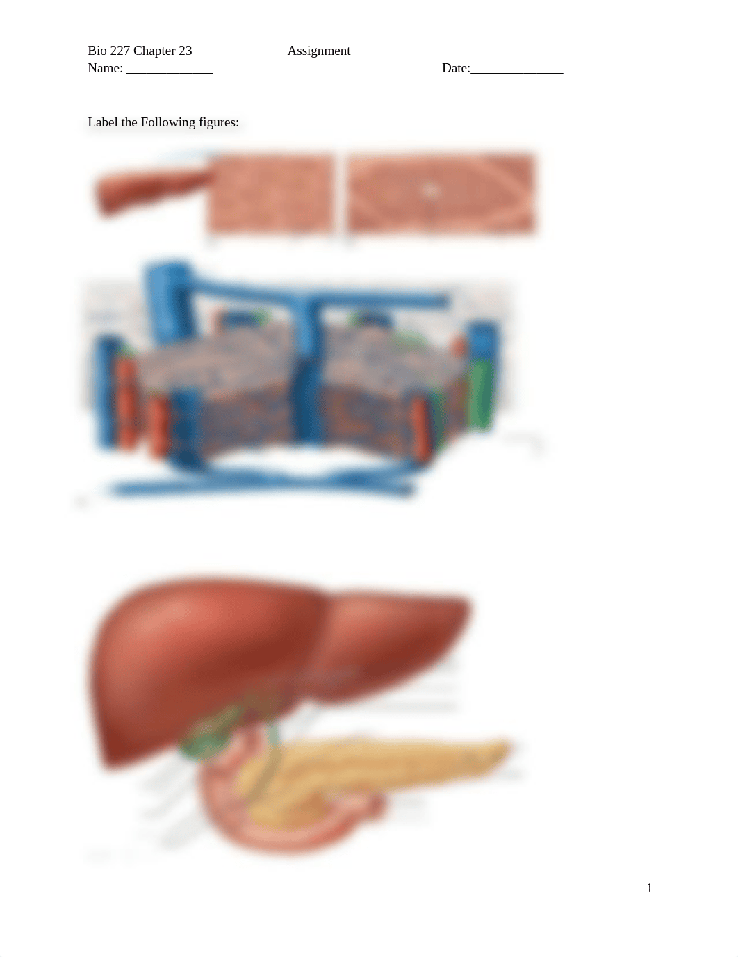 Bio 227 Chapter 23 Assignment.docx_d3yf270xdh1_page1