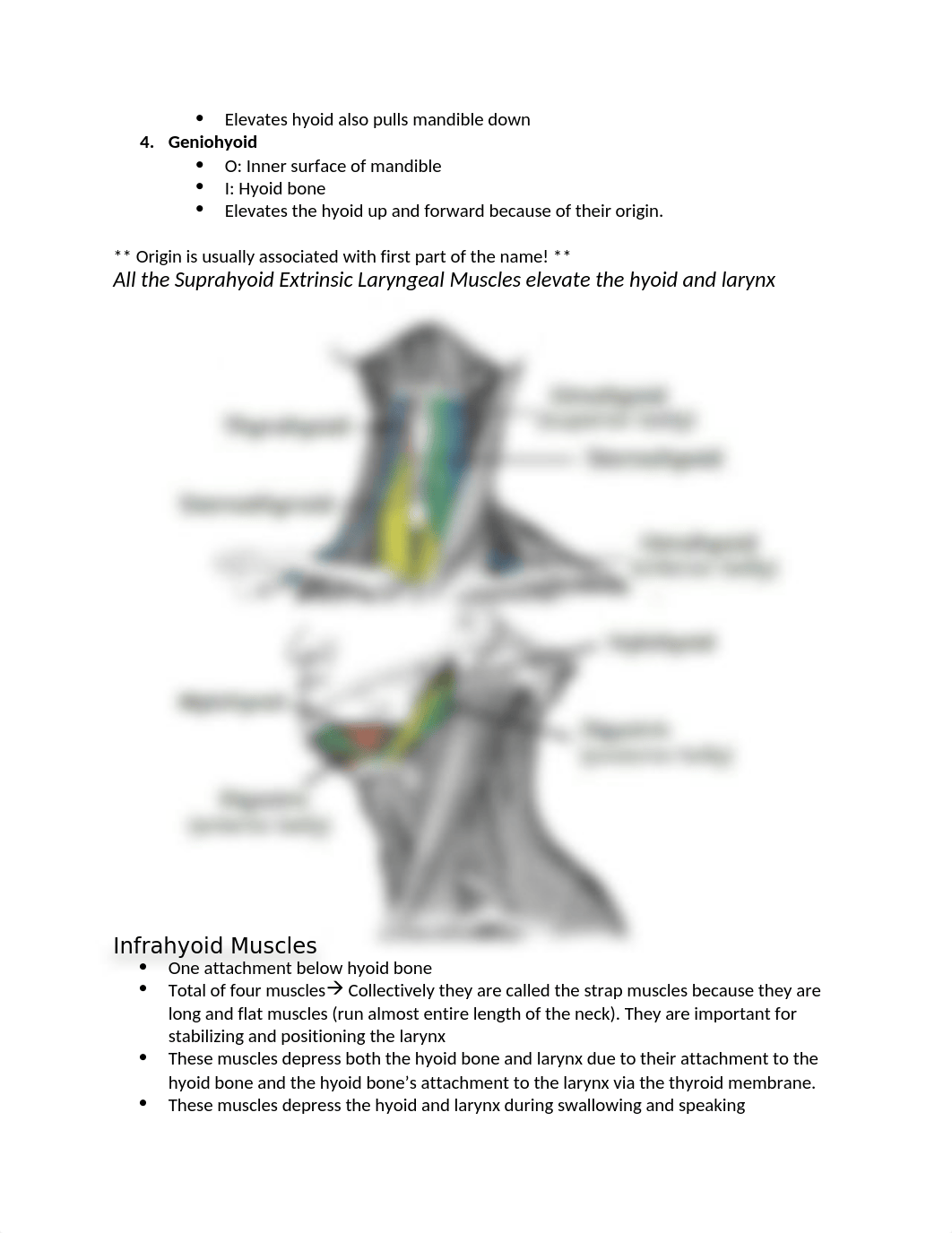 A&P Exam 3 Outline.docx_d3ymka751h9_page2