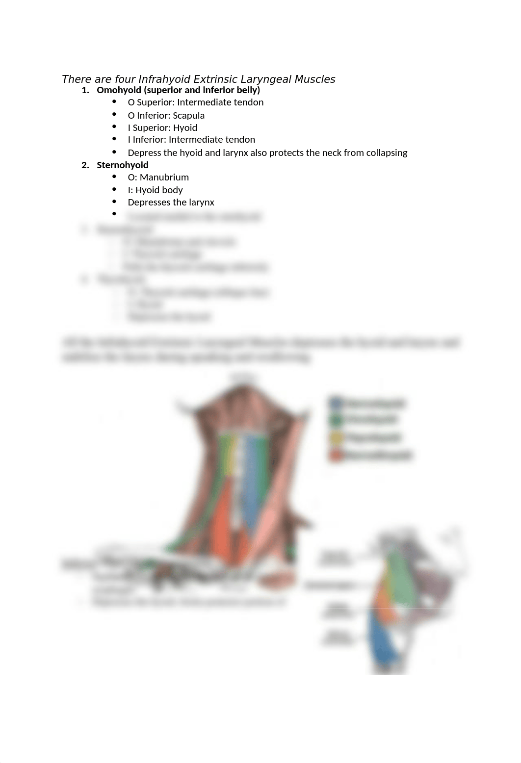 A&P Exam 3 Outline.docx_d3ymka751h9_page3