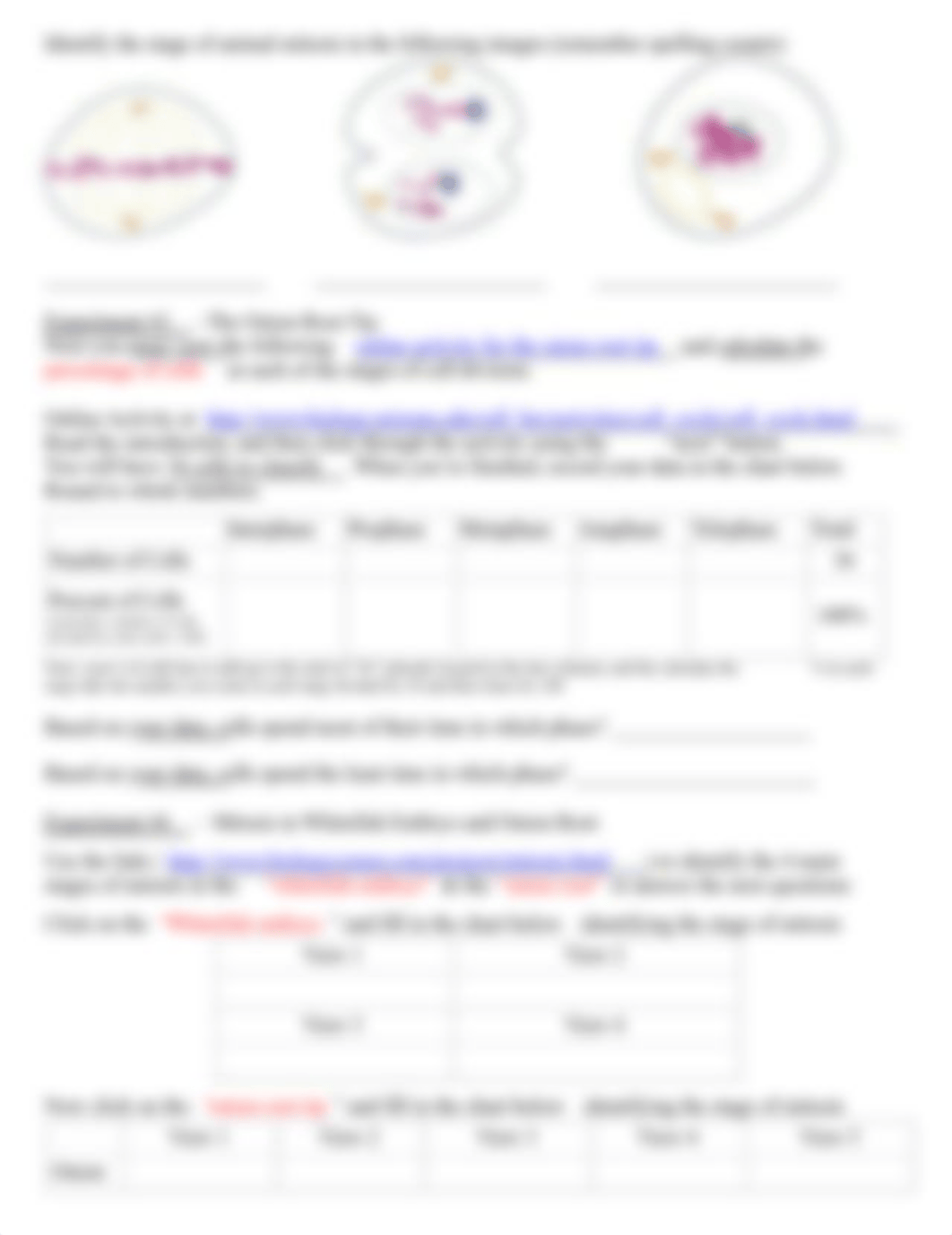 BIO 101 Mitosis Meiosis vitual lab worksheet Fall 2020 (1).pdf_d3ypckckiui_page2