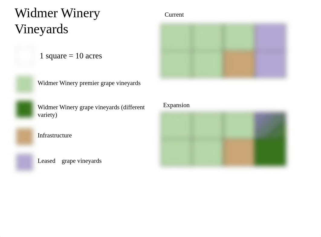 MGT313 - Winery Project copy.pptx_d3ypxst3pdi_page4