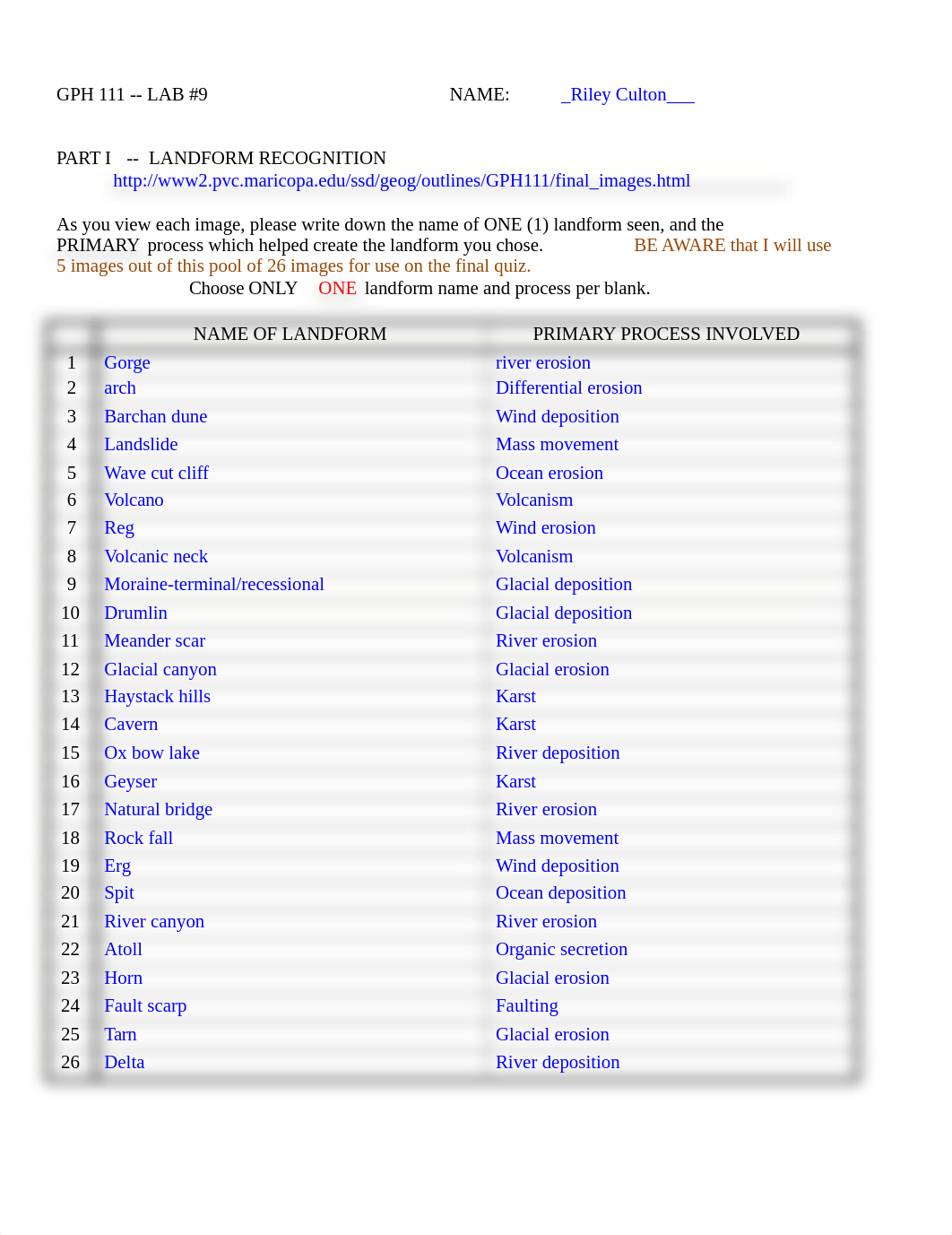 lab 9_ONLINE.docx_d3yqp7of6uj_page1