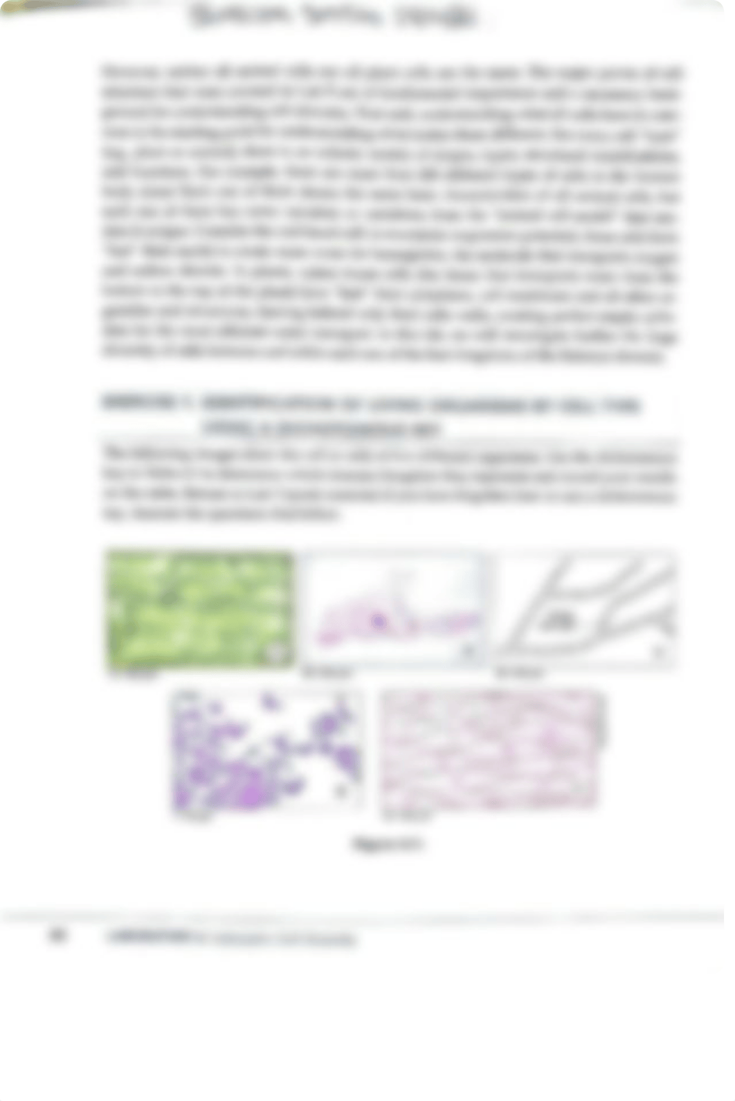 Laboratory 6.pdf_d3z4it3lth2_page2