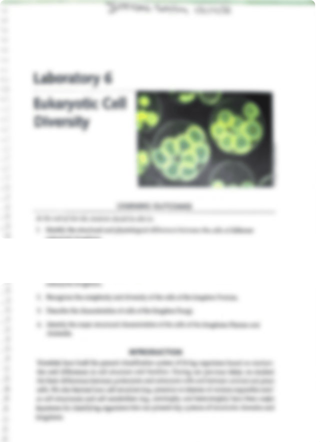 Laboratory 6.pdf_d3z4it3lth2_page1