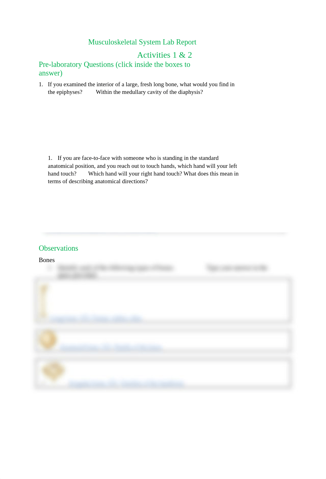 Musculoskeletal System Lab Report Activities 1 & 2­_WEST.docx_d3z63eo2c5t_page1